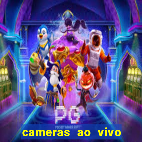 cameras ao vivo beto carrero